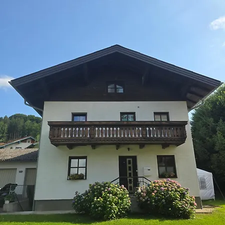 Baumgartner - * Mattsee