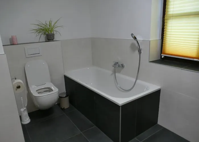 Baumgartner - * מטזה