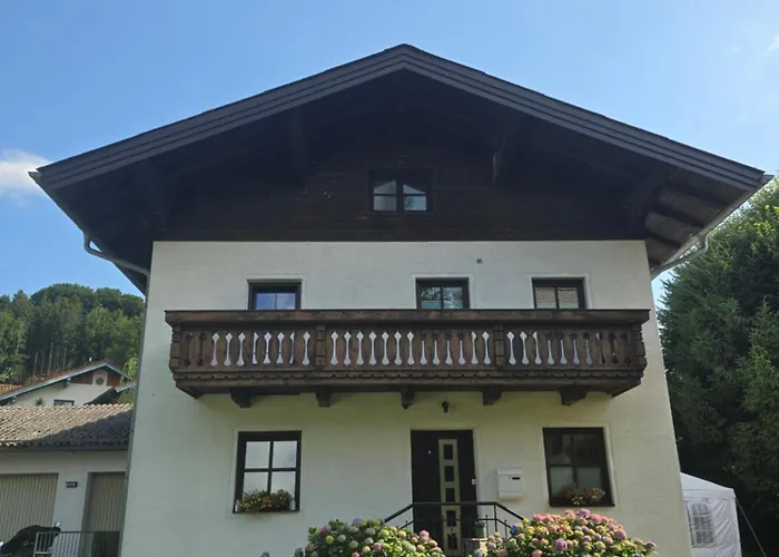 Baumgartner - * מטזה